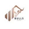 Bulls GSYO Logo