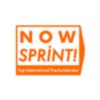 Now Sprint Logo