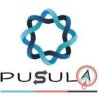 Pusula Logo