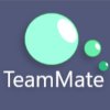 TeamMate Logo