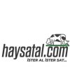 haysatal.com Logo
