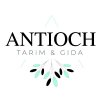 Antioch Tarım Gıda San. ve Tic. Ltd. Şti. Logo