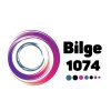 Bilge 1074 Logo
