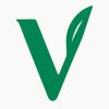 Vidyoma Logo